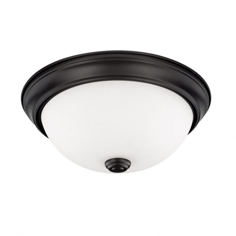 Flush Mounts-Capital-214721