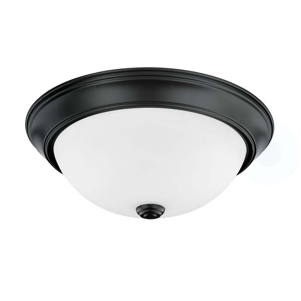 Flush Mounts-Capital-214722