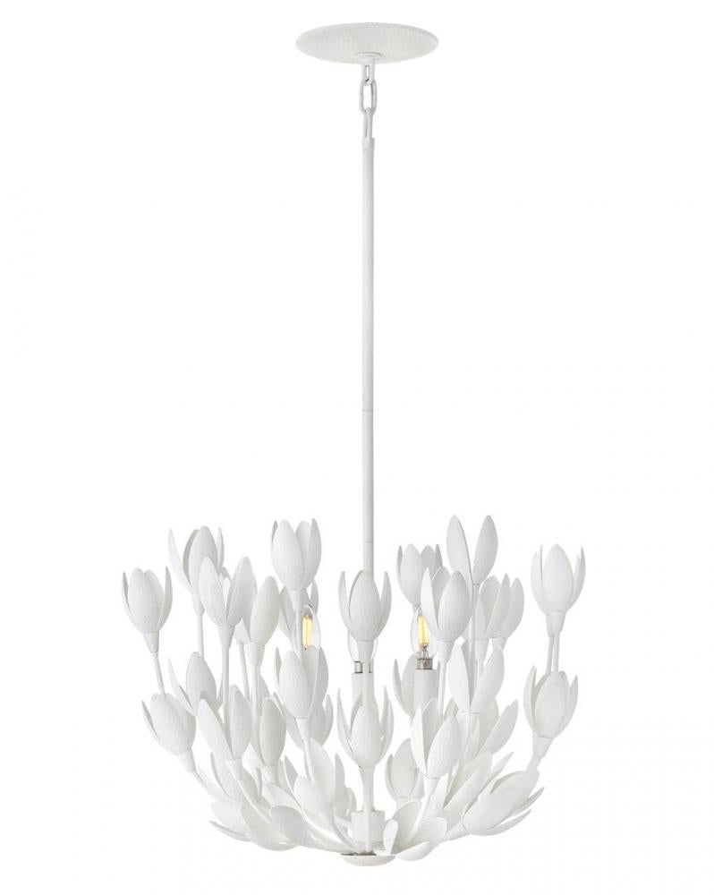 Pendants-Hinkley-HL30011