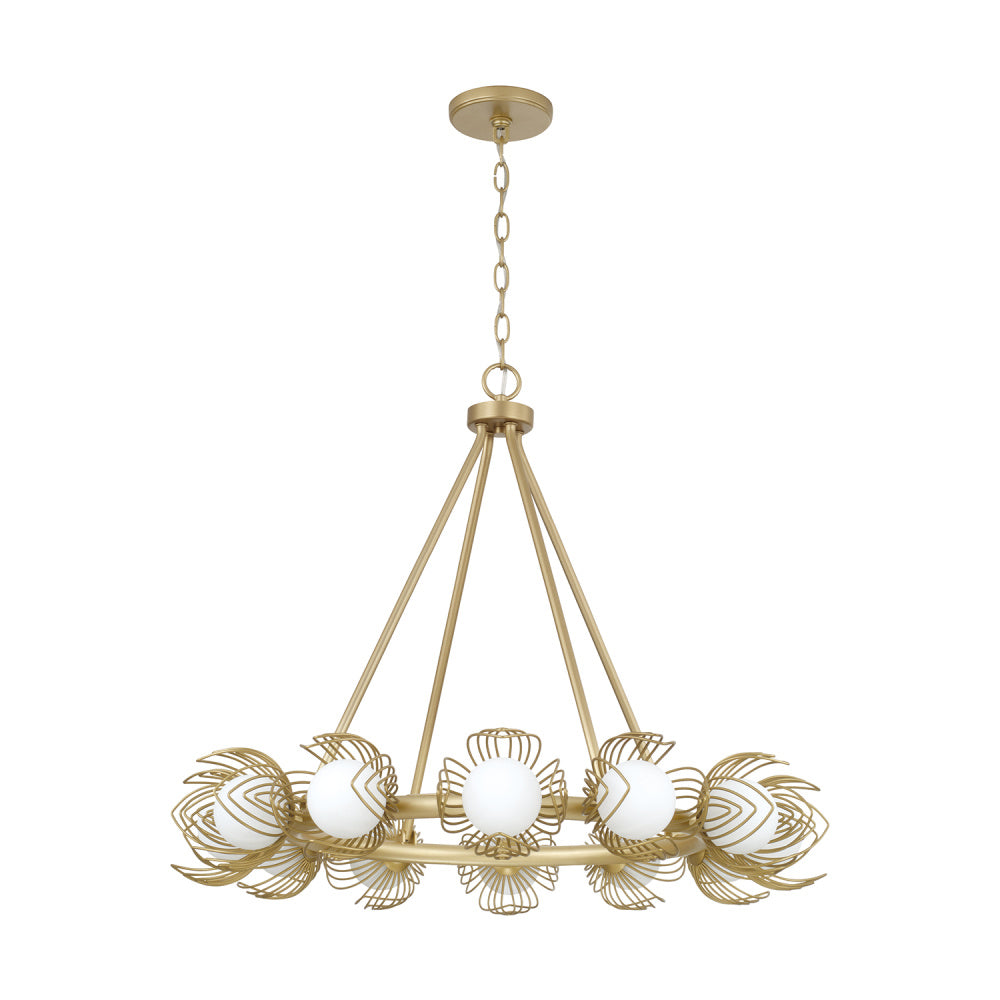Chandeliers-Capital-462101