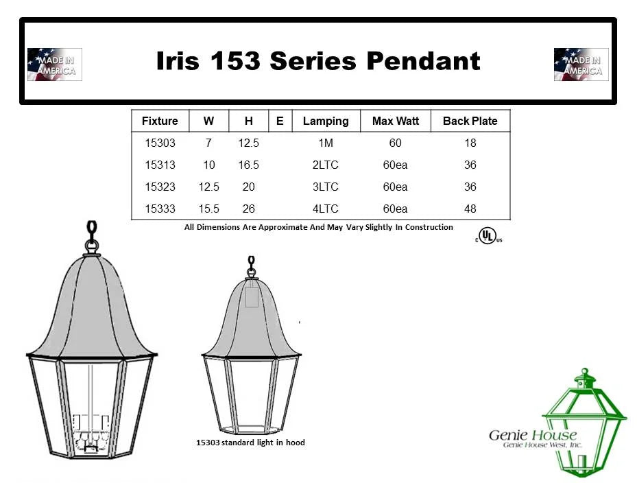 Iris Outdoor Hanging Lantern 15323