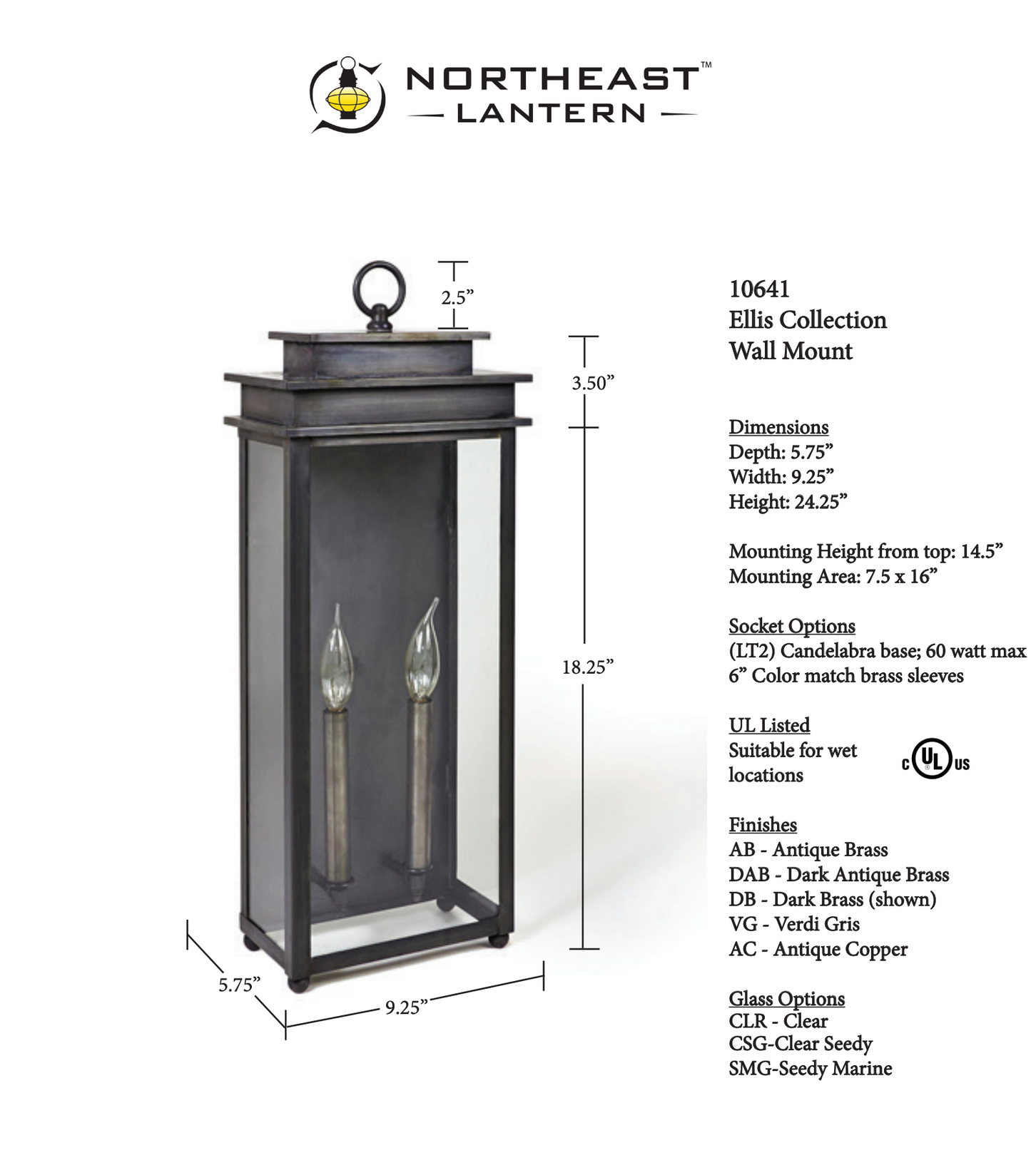 Ellis Large Outdoor Wall Lantern 10641