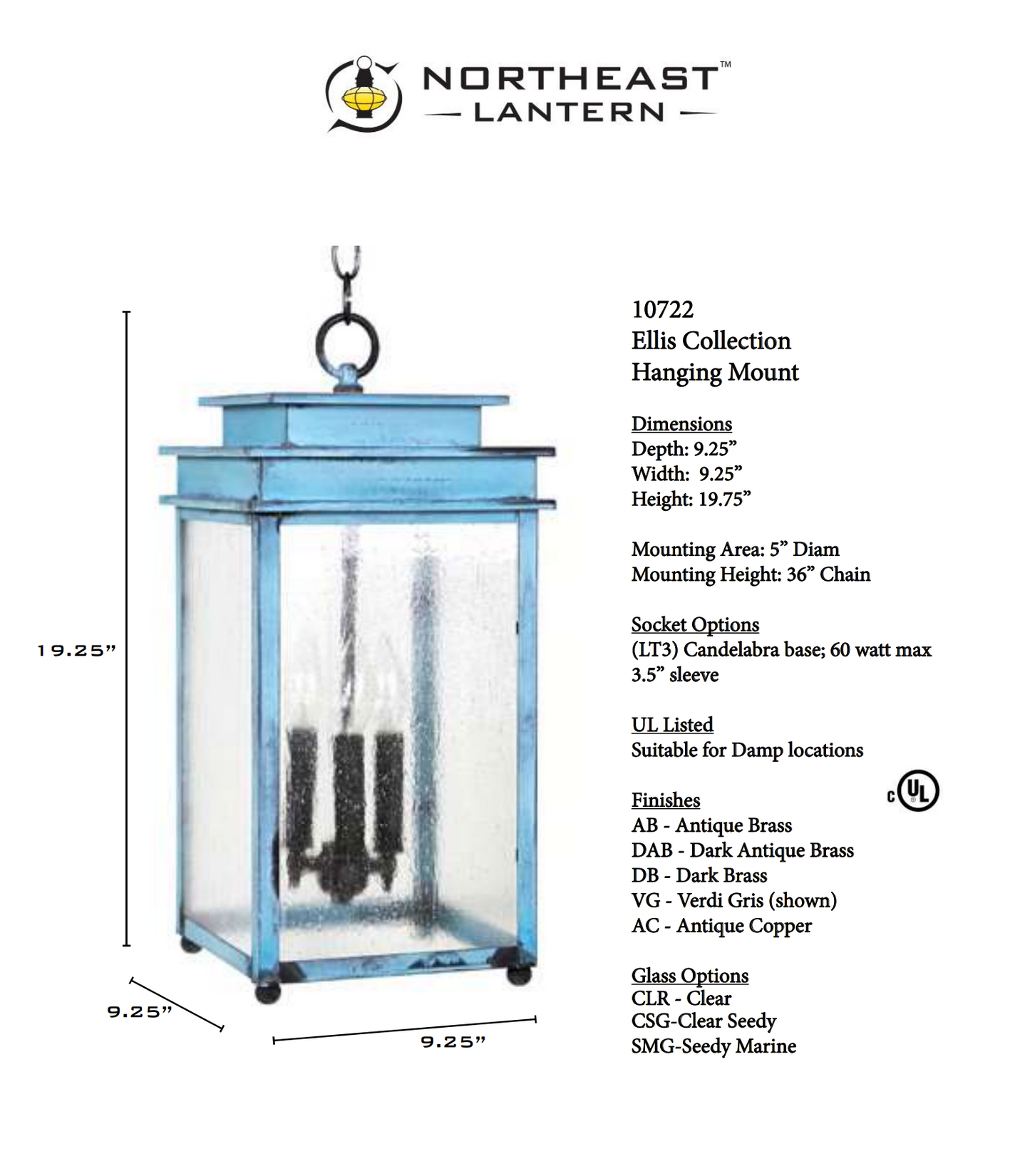 Ellis Medium Outdoor Hanging Lantern 10722