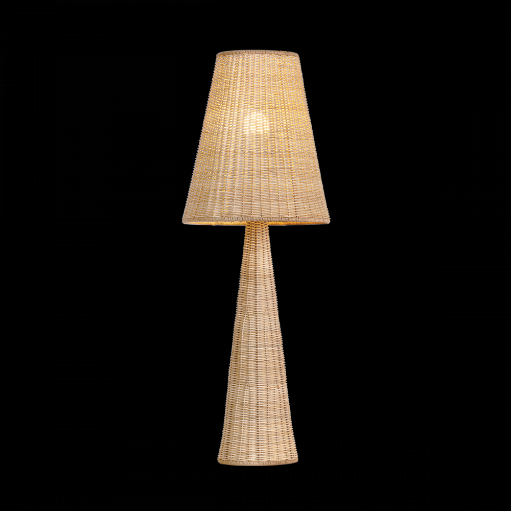 Lamps-Hudson Valley-L3836-AGB