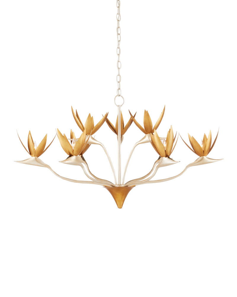 Chandeliers-Currey-9000-0973