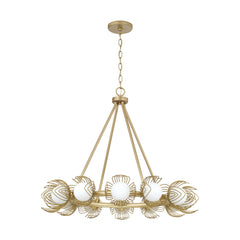 Chandeliers-Capital-462101