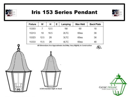 Iris Outdoor Hanging Lantern 15333