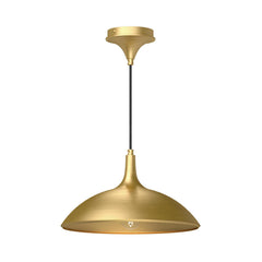 Pendants-Alora Lighting-PD627914