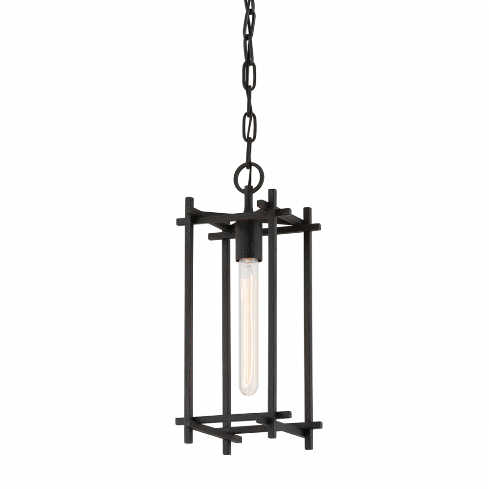 Foyer/Hall Lanterns-Troy-F1093-BI