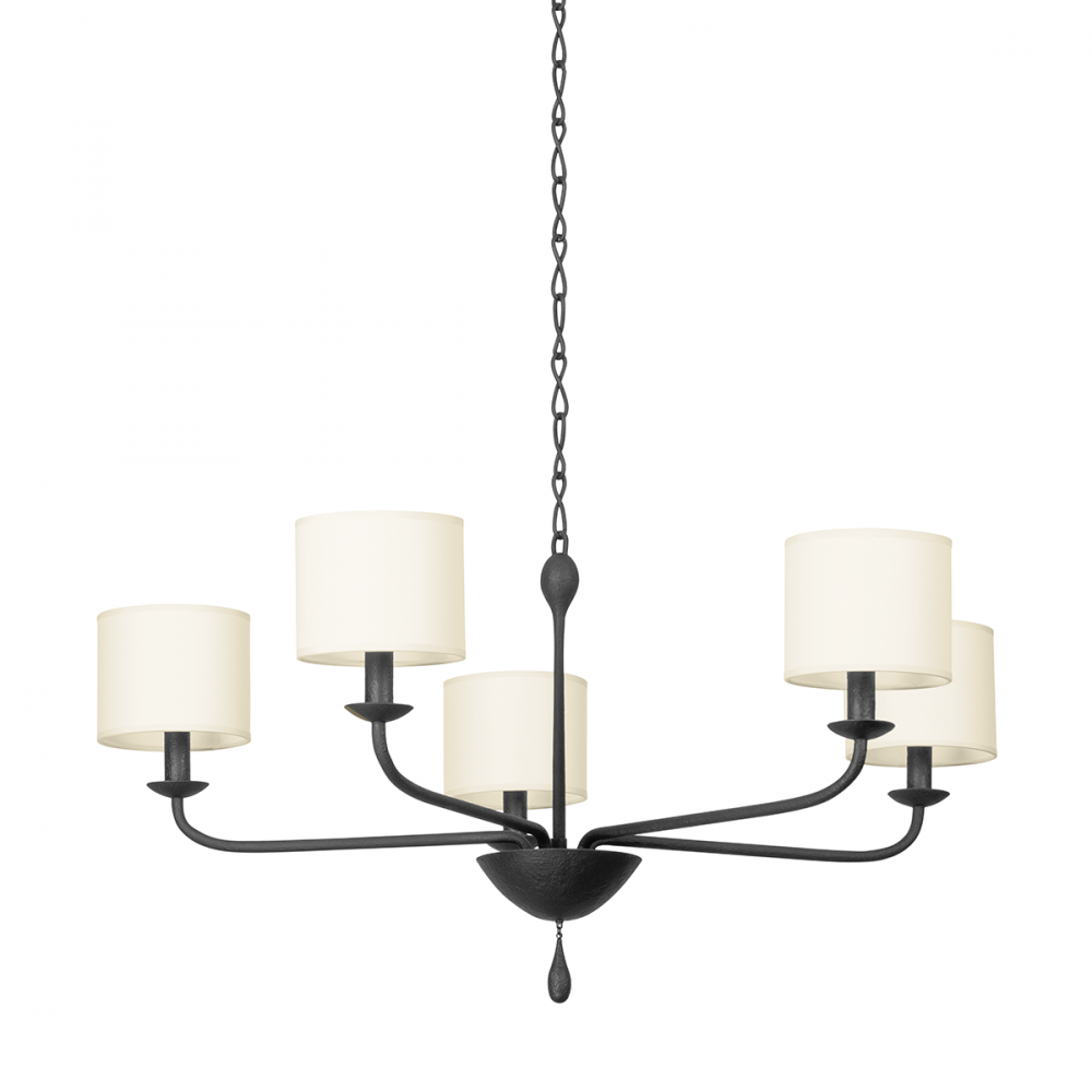 Chandeliers-Troy-F9737-BI