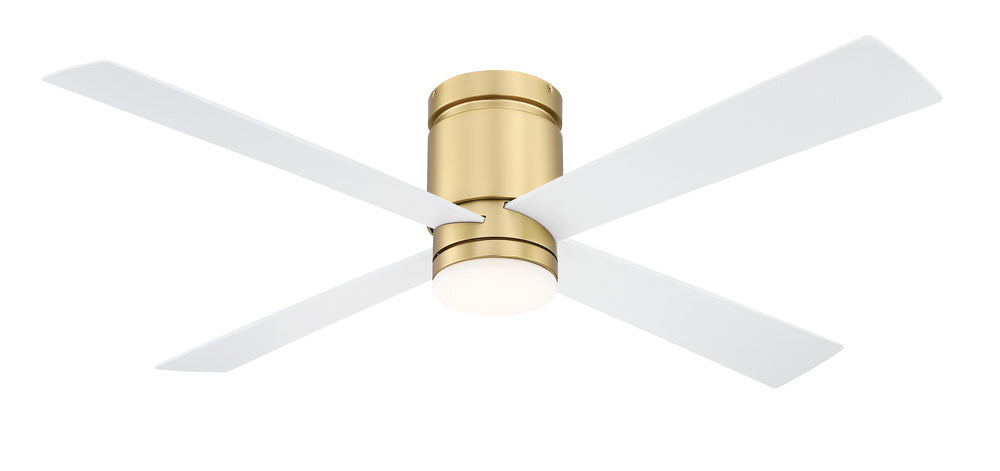 Fans-Fanimation-Fps8553
