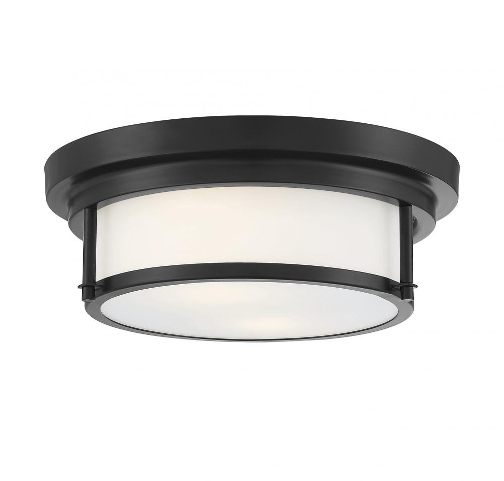Flush Mounts-Savoy House Meridian-M60062