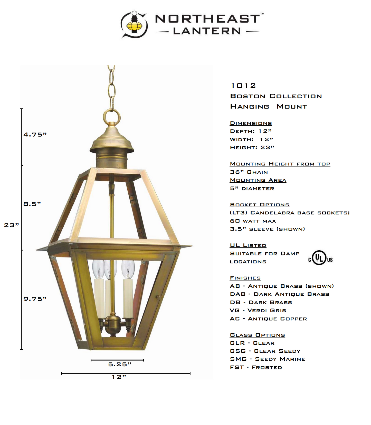 Boston Outdoor Small Hanging Lantern 1012